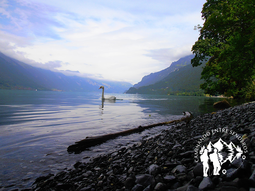 Lago Brienz