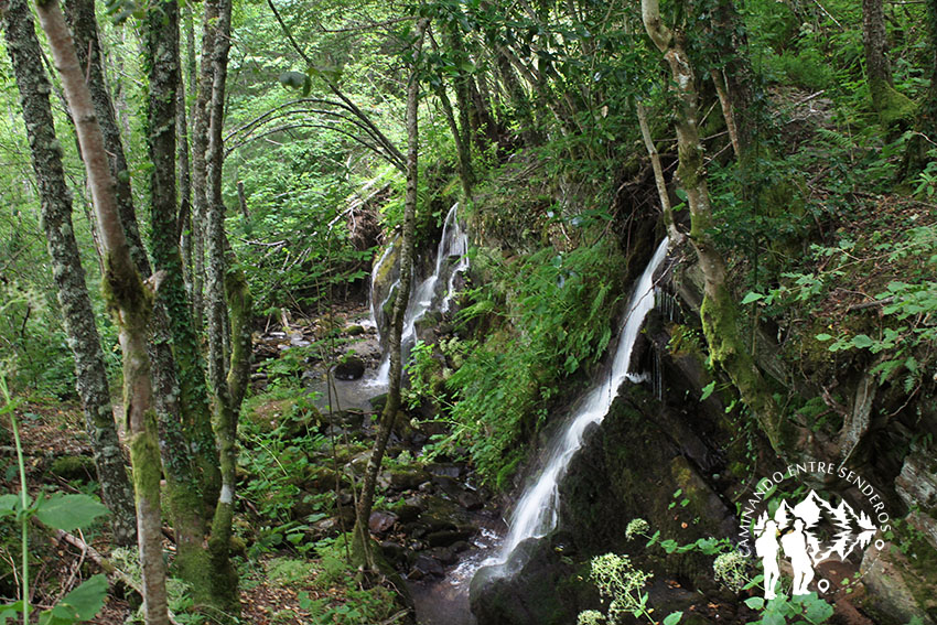 Fervenza do Beiro