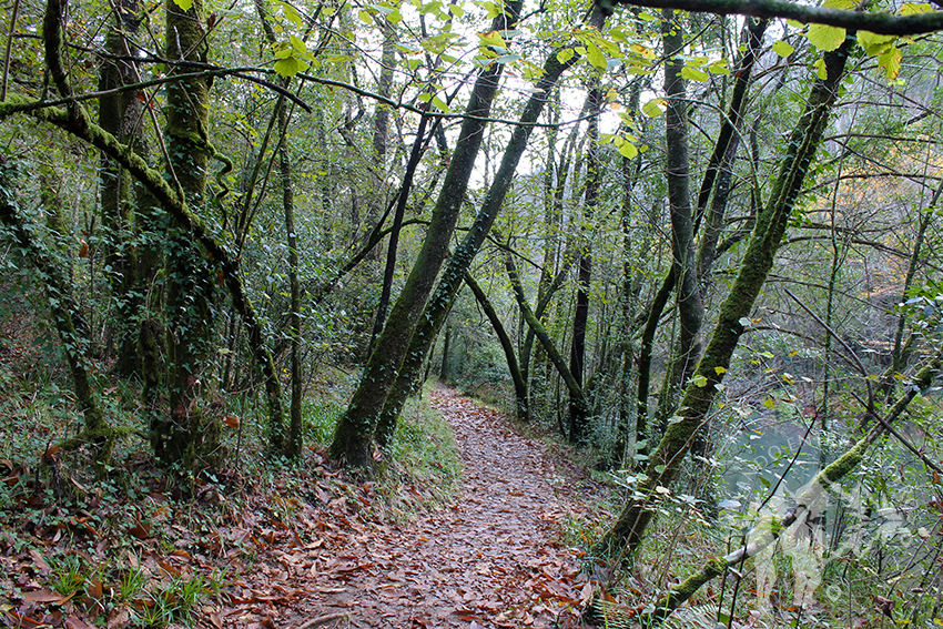 A orillas del río Eume