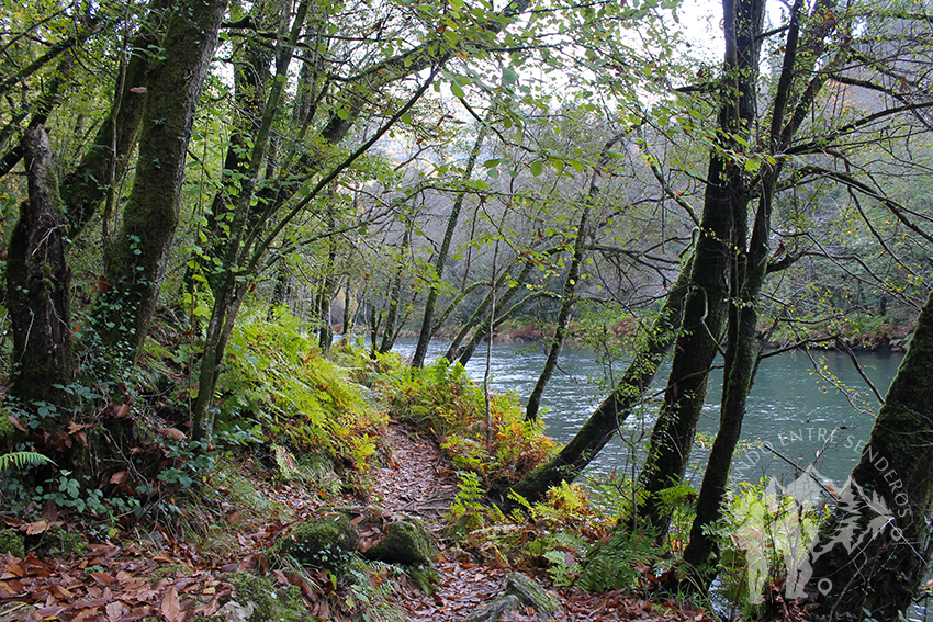 A orillas del río Eume