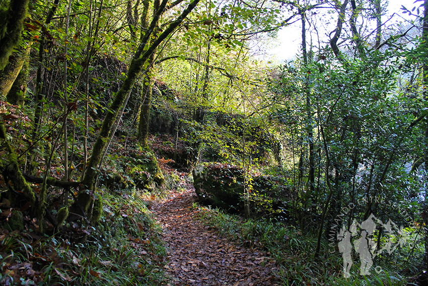 A orillas del río Eume