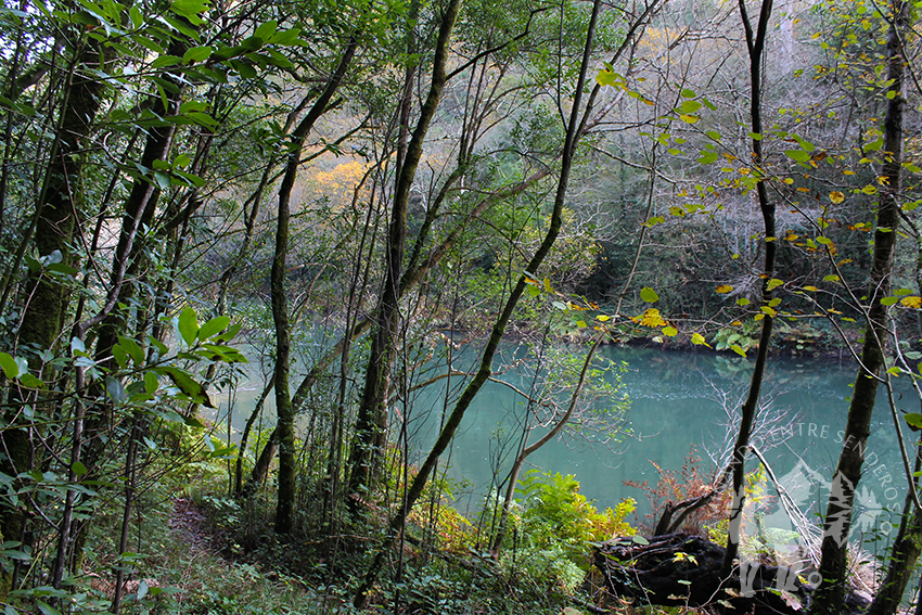 A orillas del río Eume