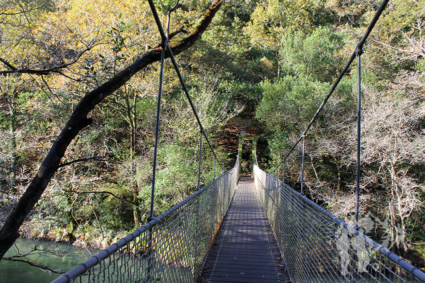 Puente colgante Fornelos