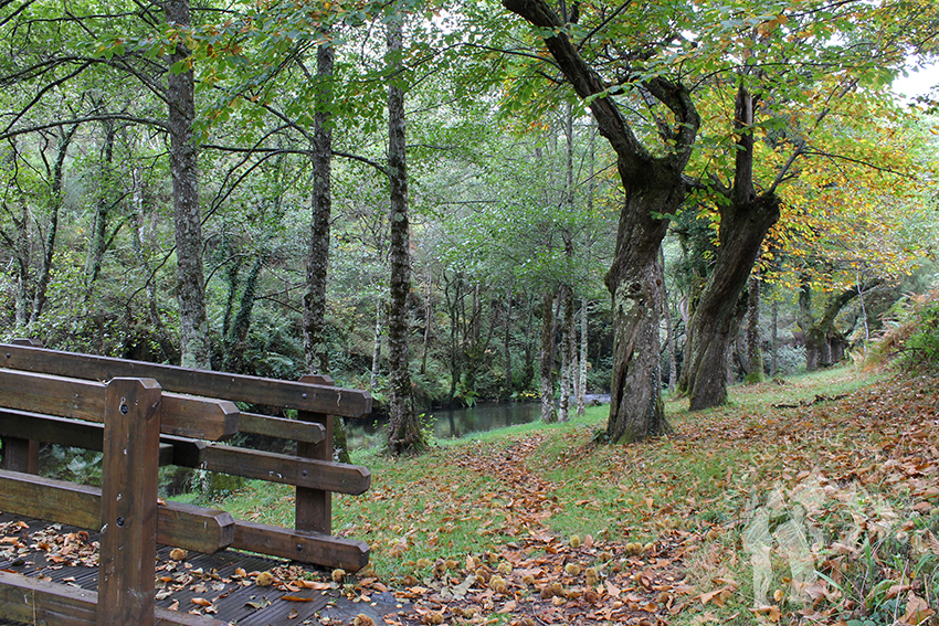 Área recreativa da Cortevella