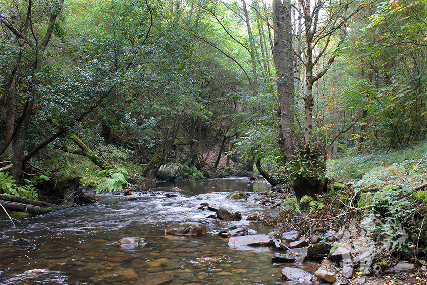 Orillas del Río Eo