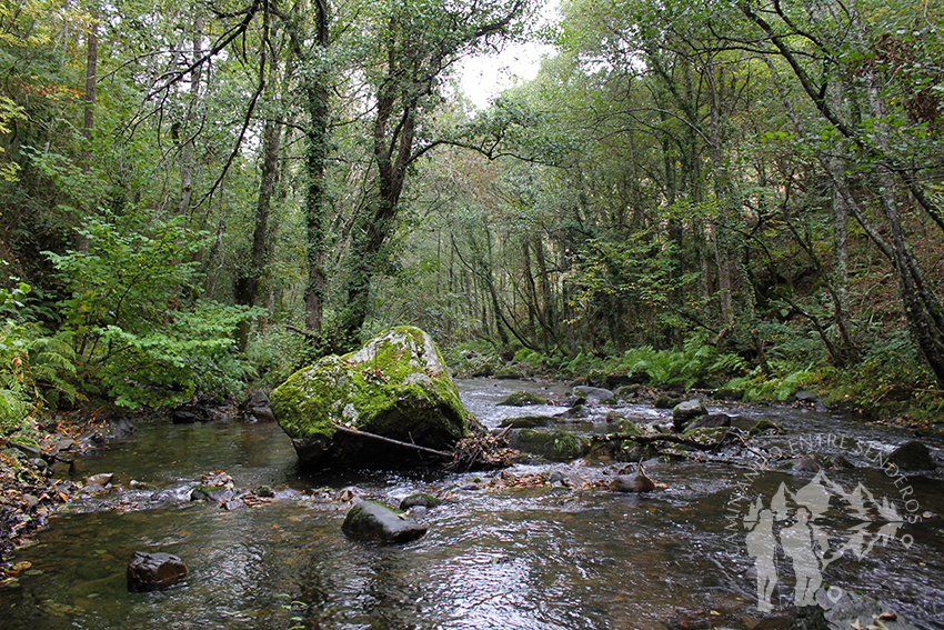 Orillas del Río Eo