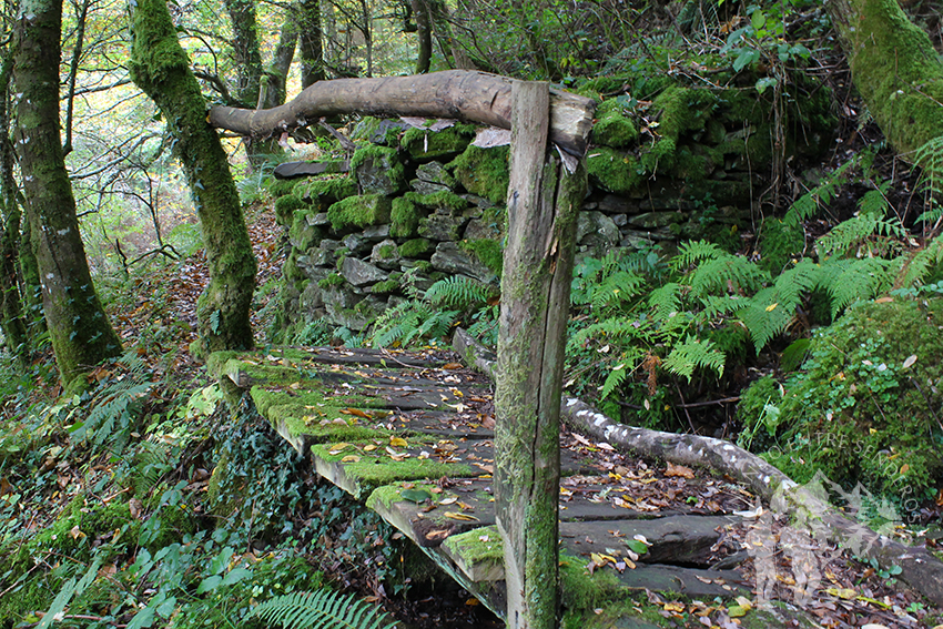 Puente rústico de madera