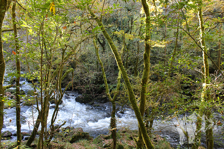 Río Mandeo