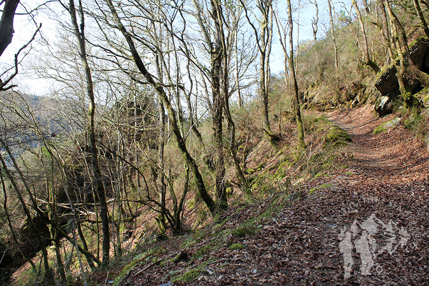 Bajada al Rego dos Porcos