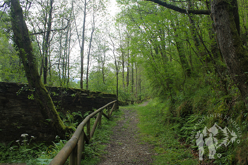 Puente de piedra