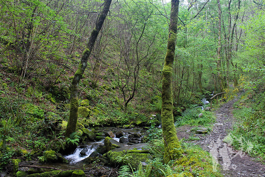 Camino cascada del arroyo de la Salgueira