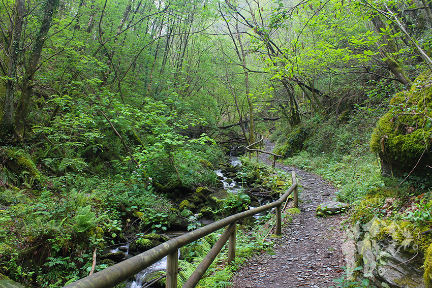 Pasarela Arroyo de la Salgueira