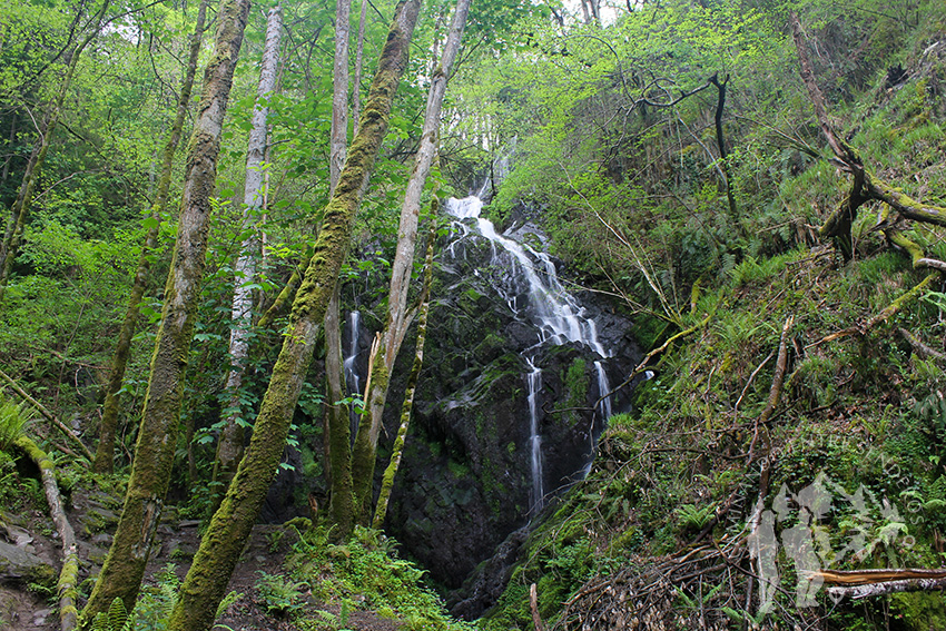 Cascada del arroyo de la Salgueira