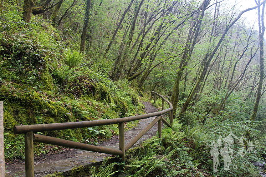 Pasarela Arroyo de la Salgueira