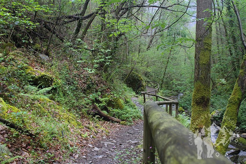 Pasarela Arroyo de la Salgueira