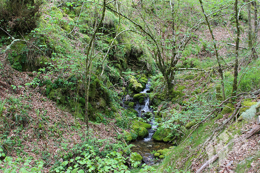 Arroyo de A Pasadia