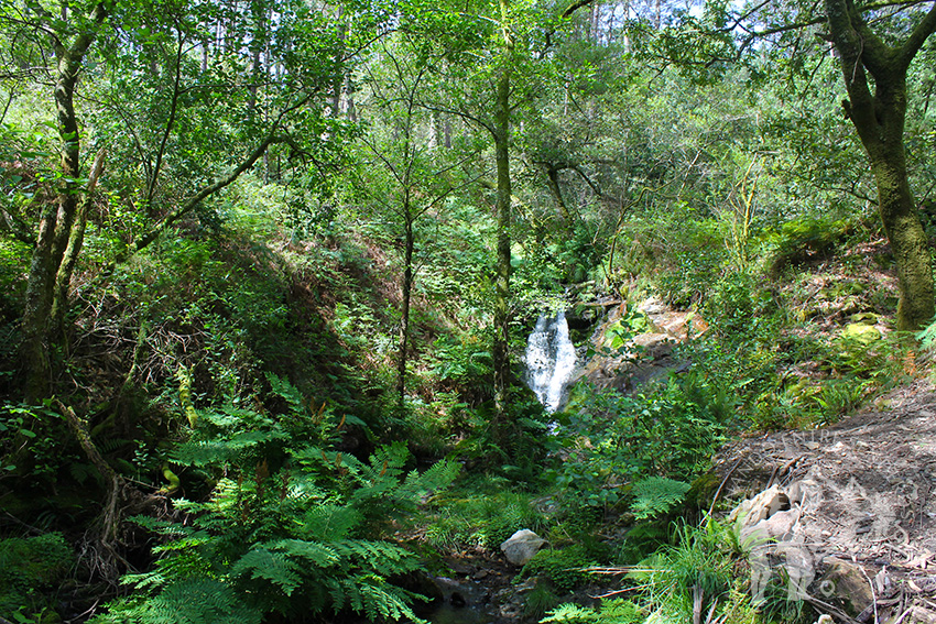 Catarata Fonte de San Pas