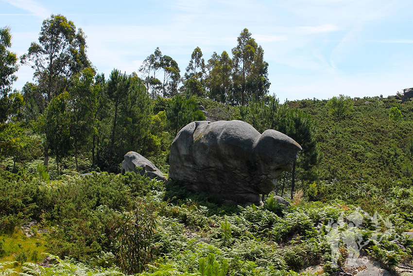 Ruta ambiental Castelo de Vitres