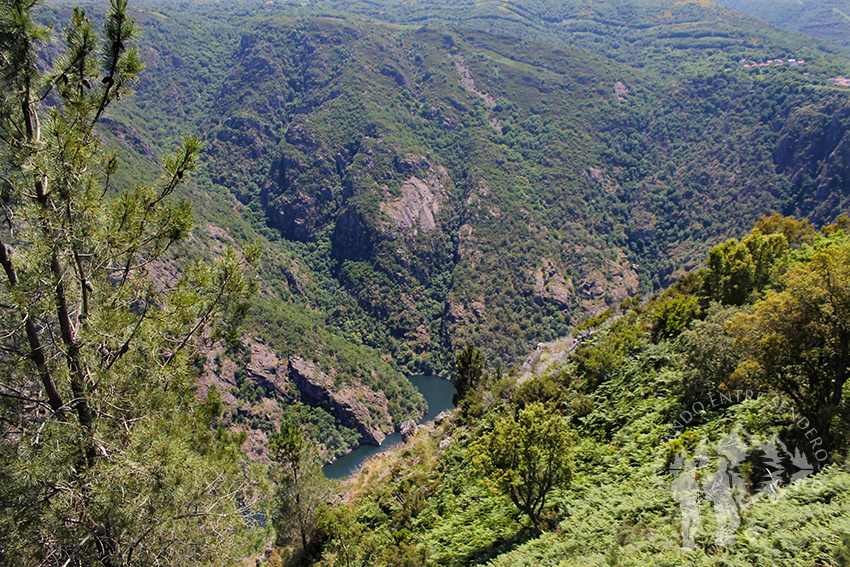 Castro da Cividade