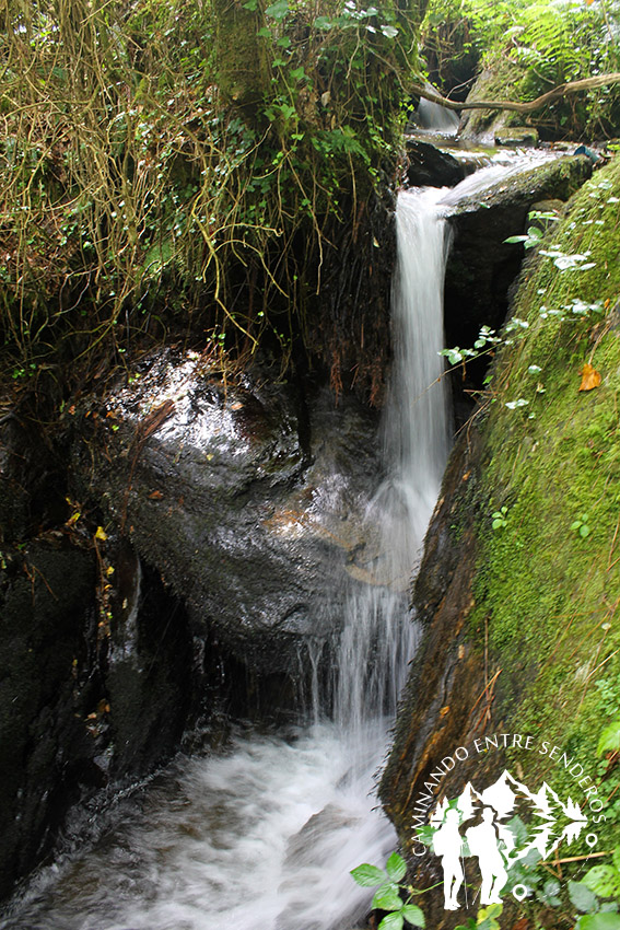 Rego dos Muiños