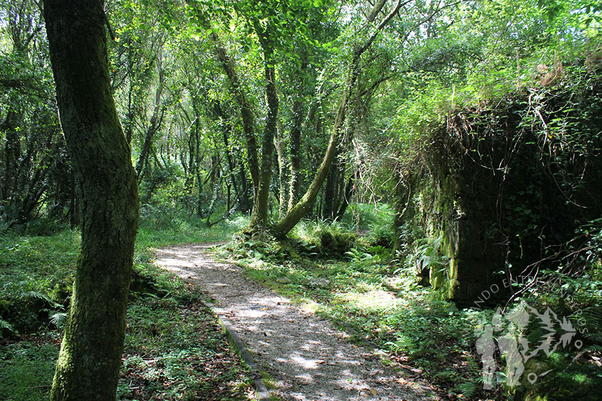 Ruta do Rego dos Muiños