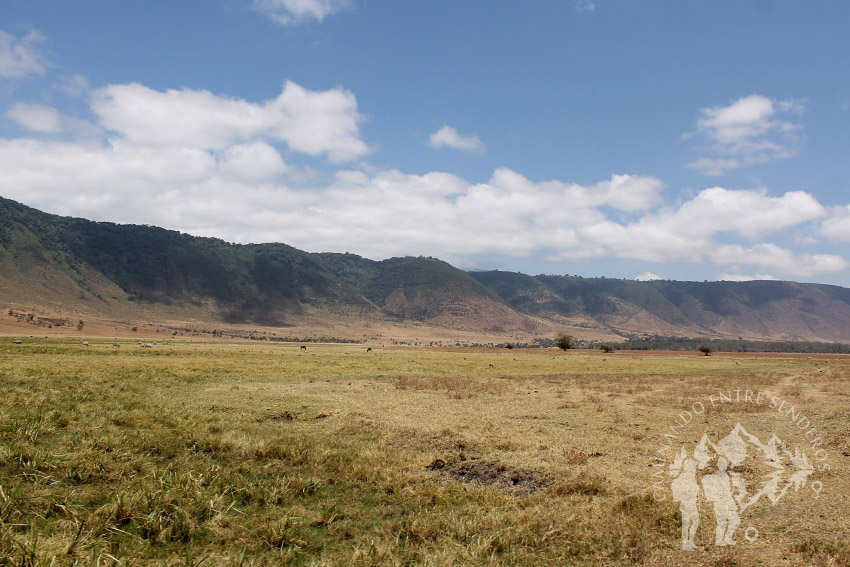 Ngorongoro (Tanzania)