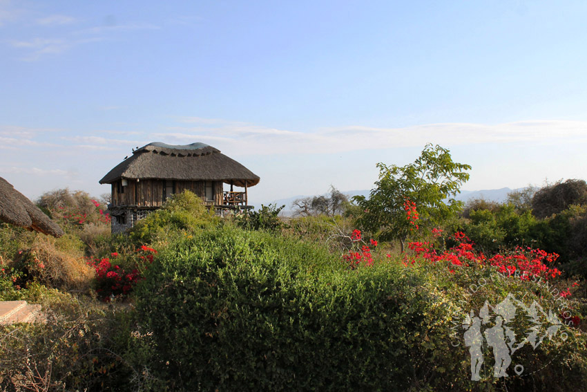 Manyara Wildlife Camp