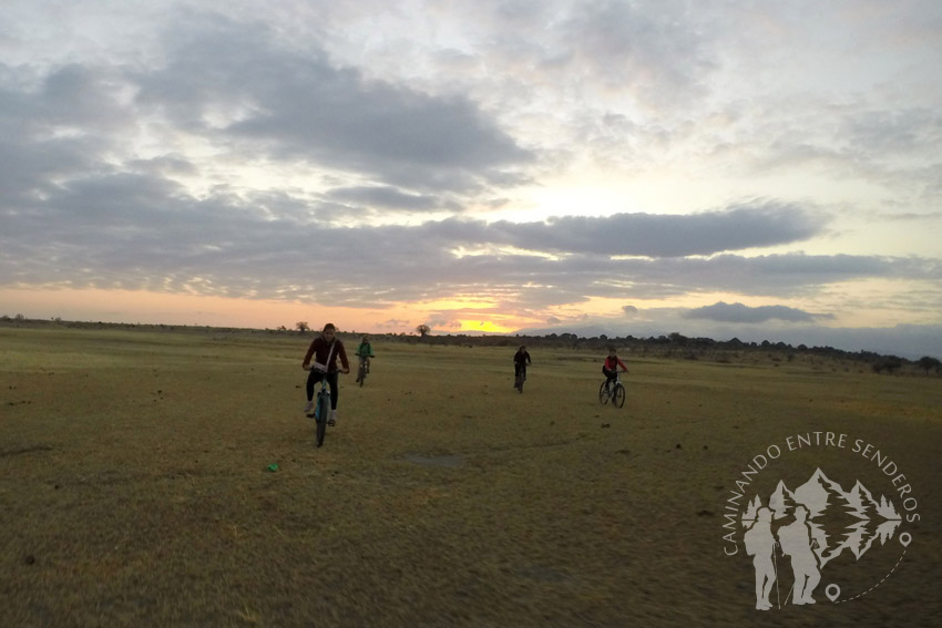 Safari en bici (Lago Manyara)