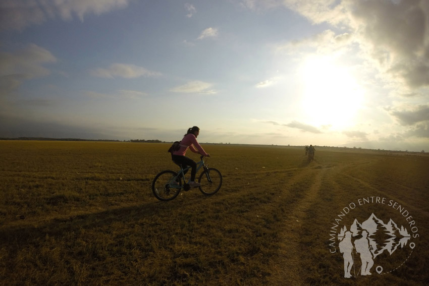 Safari en bici (Lago Manyara)