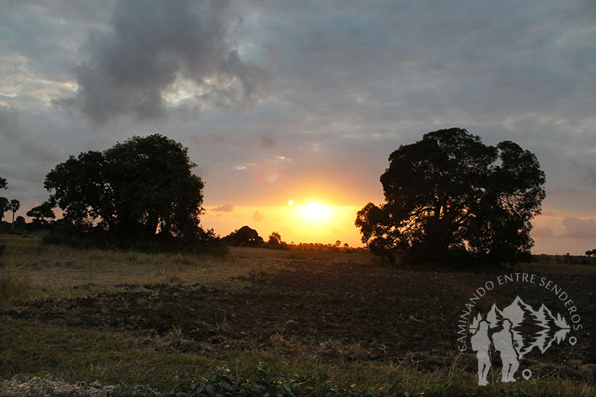 Puesta de Sol (Zanzíbar)