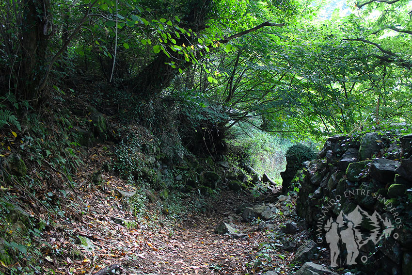 Camino Costa Pequeña