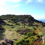 Bosque Petrificado de San Andrés de Teixido