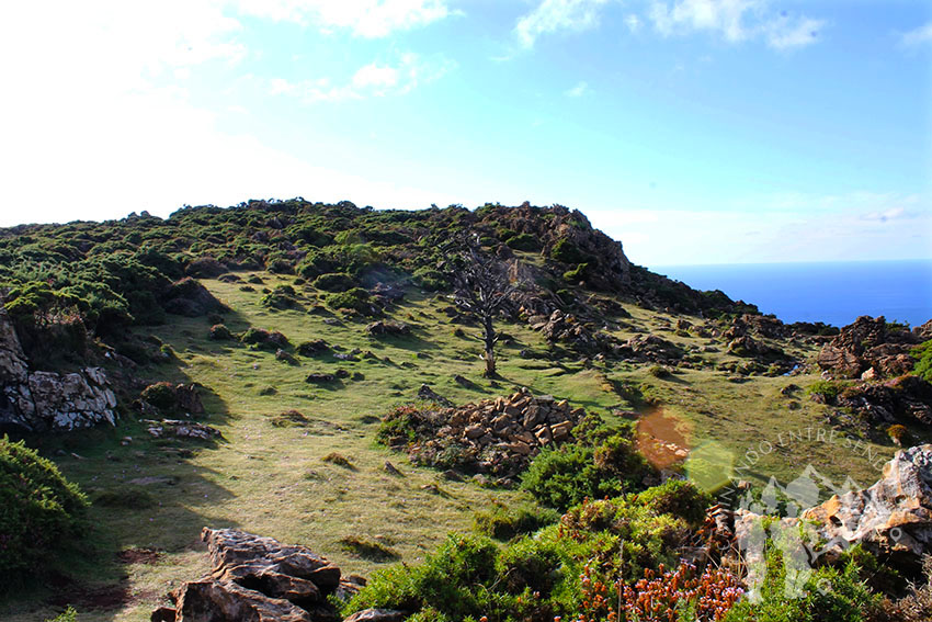 Bosque Petrificado de San Andrés de Teixido