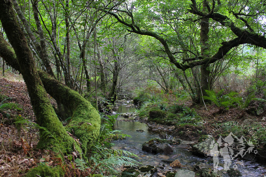 Río dos Campos