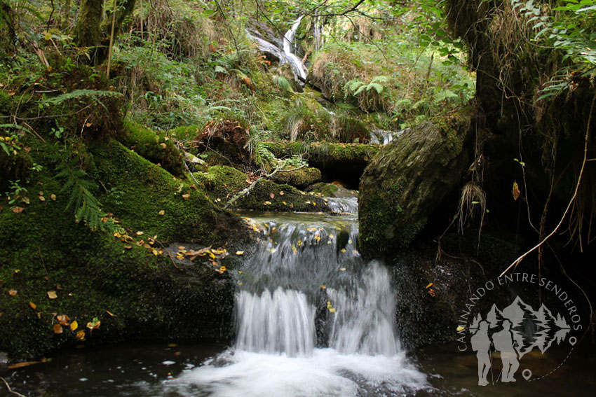 Fervenza 1 (río dos Campos)