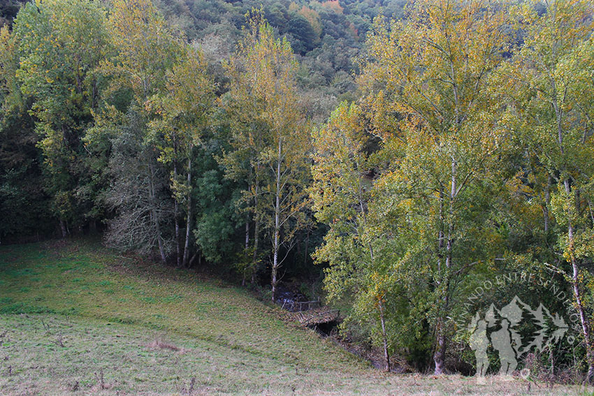 Descenso hacia el río de Castelo