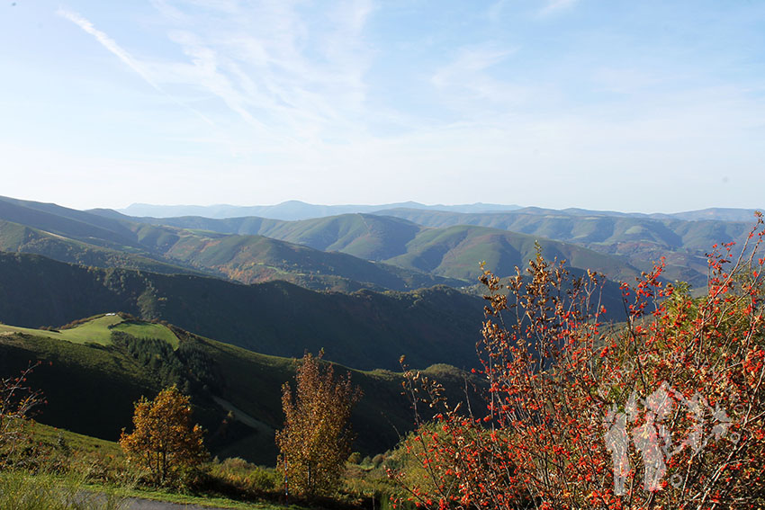 Reserva de la biosfera de Os Ancares Lucenses