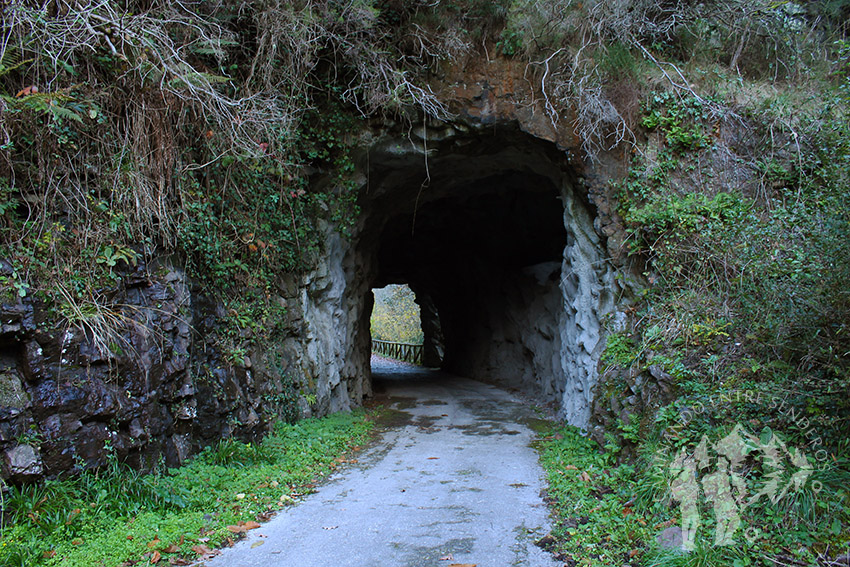 Túnel Senda del Oso (Teverga)