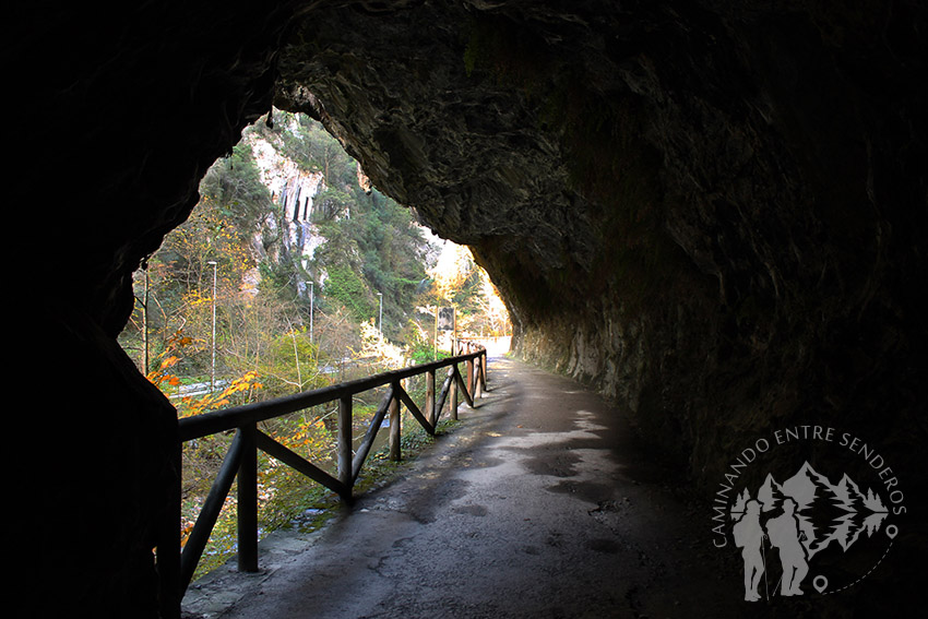 Túnel Senda del Oso (Teverga)