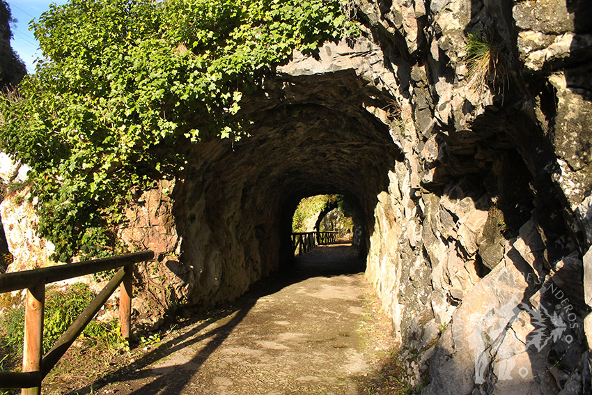 Túnel Senda del Oso (Teverga)