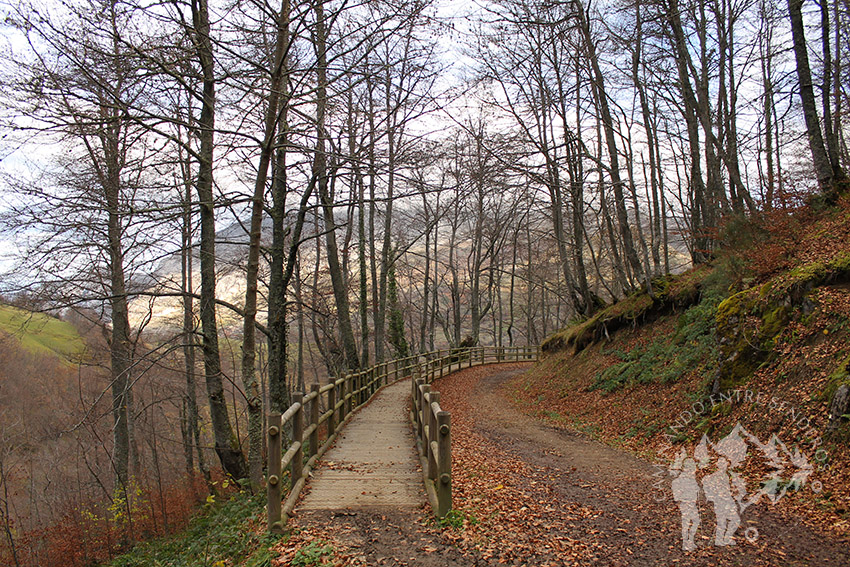 Pasarela adaptada