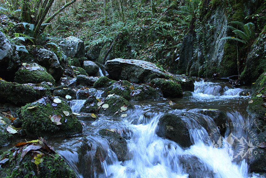 Arroyo de las Xanas