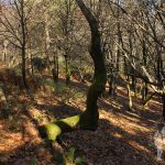 Serra do Barbanza