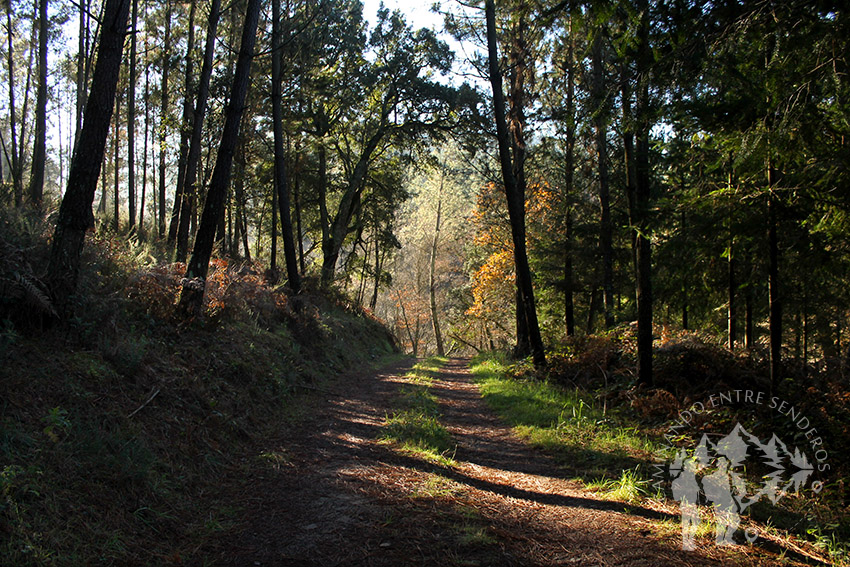 Sobreiral do Arnego (Pontevedra)