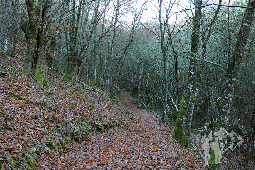 Souto da Agüeira (Lugo)