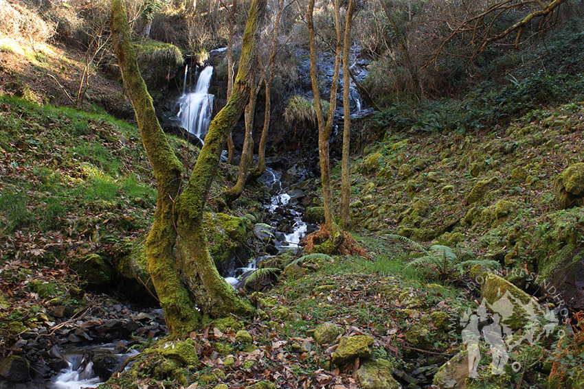 Fervenza de Rus (Carballo)