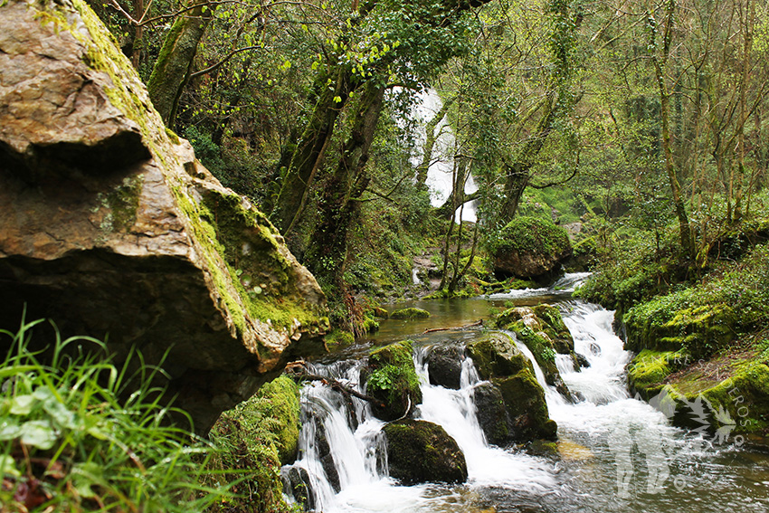 Río de Oneta