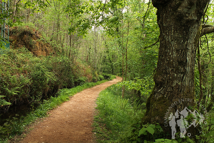 Paseo entre el río Landro y el canal