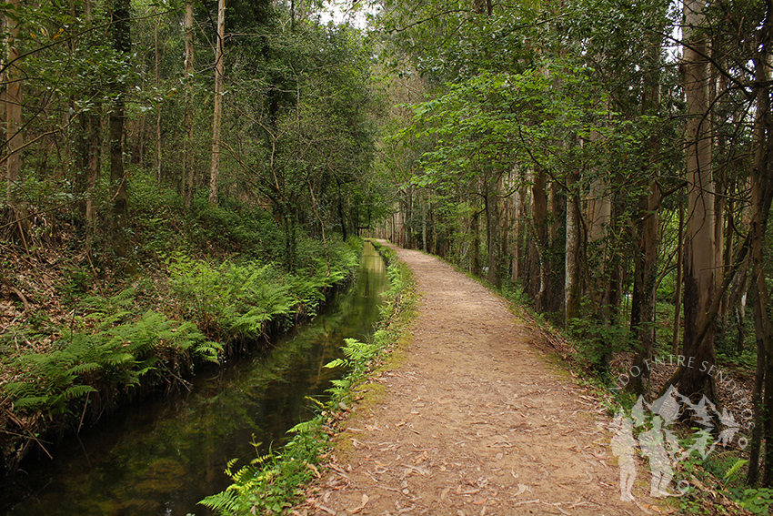 Paseo entre el río Landro y el canal