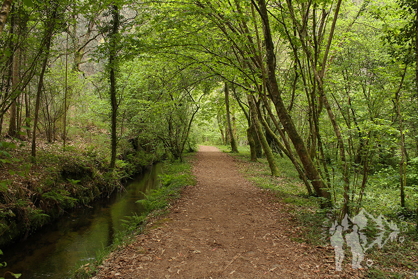 Paseo entre el río Landro y el canal